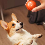 Balle pour chien taquine automatique et intelligente