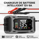 Chargeur intelligent 12V et mainteneur de batterie
