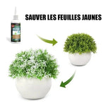 Solution nutritive pratique pour plantes