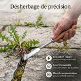 Outil de désherbage en acier inoxydable en forme de L pour les interstices