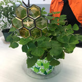 Ornement d’abeille en vitrail ou attrape-soleil
