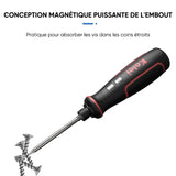 Jeu de tournevis électriques 41 en 1