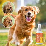 Spray de soin cutané pour chien contre puces et tiques