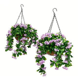 Paniers suspendus de faux lilas des Indes