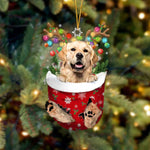 Ornement de Chien Mignon en Forme de Chaussette de Noël