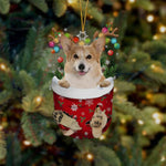 Ornement de Chien Mignon en Forme de Chaussette de Noël