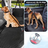 Ceinture de Sécurité Elastique Réglable pour Chien