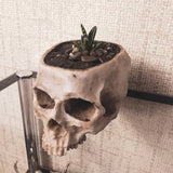 Pot de fleur crâne fait main