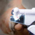 Coupe-ongles LED pour animaux de compagnie