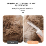 Brosse tout-en-un pour animaux de compagnie
