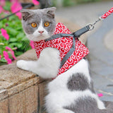 Veste de Harnais et Laisse pour Chat