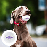 🐶 Boules jouets incassables pour chien 🐶