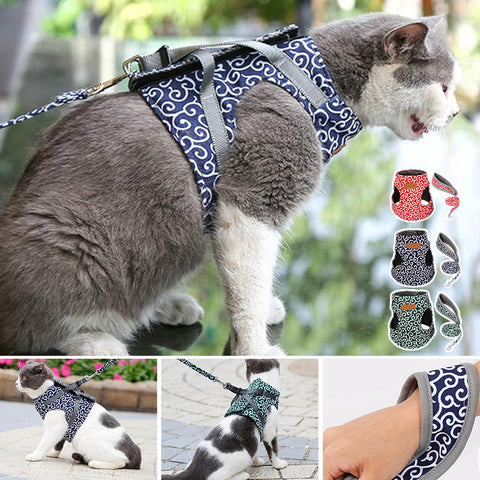 Veste de Harnais et Laisse pour Chat