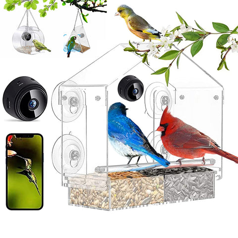 Mangeoire d'Oiseaux Intelligente avec Caméra