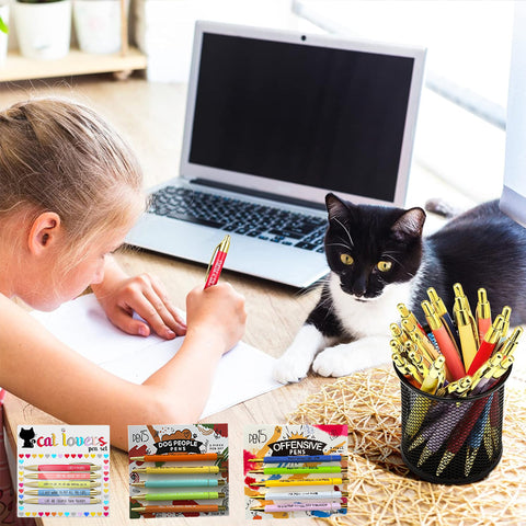 Stylos Rigolos Cadeau de Gag Sarcastique(5pcs)