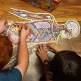 Puzzle d’Anatomie Humaine pour Enfants