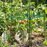 Tuteurs pour Plantes en Forme de Branche