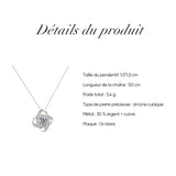 Coffret Pomme Rouge Avec Rose Eternelle Et Collier