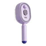 Peigne de massage électrique brumisateur à coussin d’air