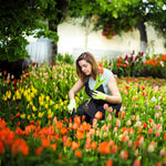 Outil d'arrachage de mauvaises herbes pour le jardin