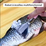 Rabot en acier inoxydable pour écailles de poisson