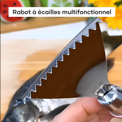 Rabot en acier inoxydable pour écailles de poisson