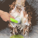 Nouvelle Brosse 2-en-1 pour Bain et Toilettage des Animaux