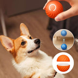 Balle pour chien taquine automatique et intelligente
