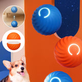 Balle pour chien taquine automatique et intelligente