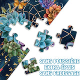 Puzzles attrape-rêves succulents 1000 pièces