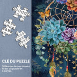 Puzzles attrape-rêves succulents 1000 pièces