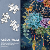 Puzzles attrape-rêves succulents 1000 pièces