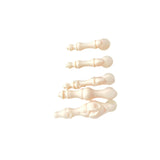 Accessoires lumineux pour crânes simulés
