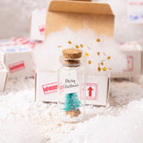 Carte de Noël dans une bouteille