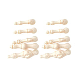 Accessoires lumineux pour crânes simulés