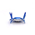 Haltérophilie Petit Crabe Porte Stylo et Lunettes