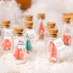 Carte de Noël dans une bouteille