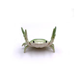 Haltérophilie Petit Crabe Porte Stylo et Lunettes