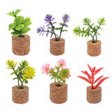 Mini Plante Décoratif Polyvalent de Voiture et Frigo