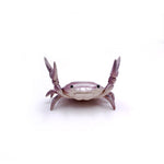 Haltérophilie Petit Crabe Porte Stylo et Lunettes