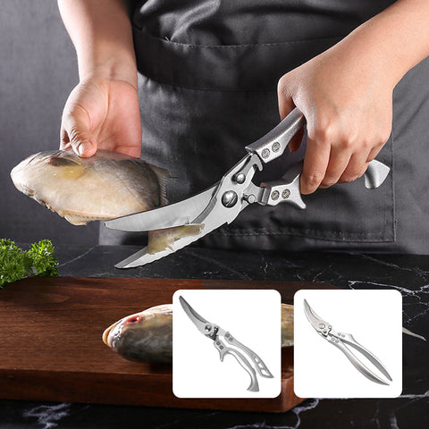 Ciseaux à Os en Acier Inoxydable Robustes
