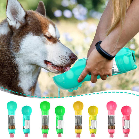 Bouteille d'eau portable pour chien