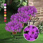 Fleurs de simulation violettes