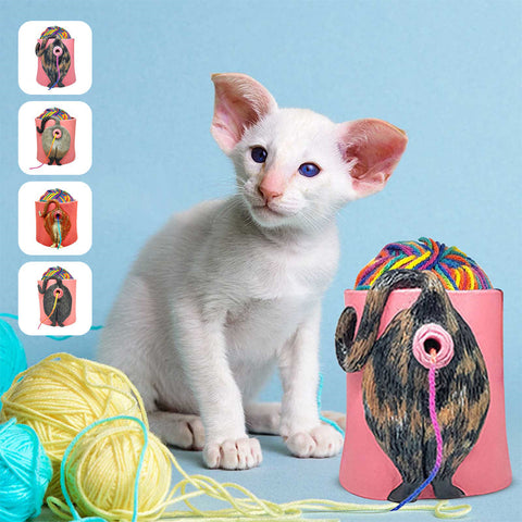 Bol de fil de chat