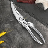 Ciseaux à Os en Acier Inoxydable Robustes