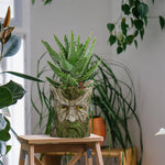 Vase en résine de jardin