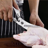 Ciseaux à Os en Acier Inoxydable Robustes