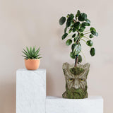Vase en résine de jardin