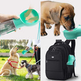 Bouteille d'eau portable pour chien