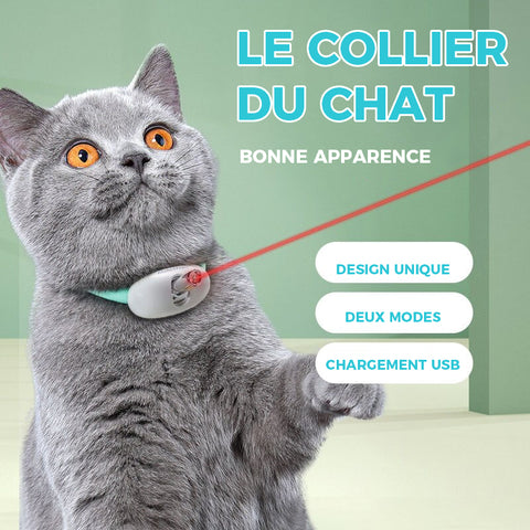 Jouets de Chat Automatiques Laser Portables